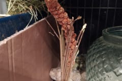 IMG_20210118_172434