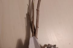 IMG_20210118_172824