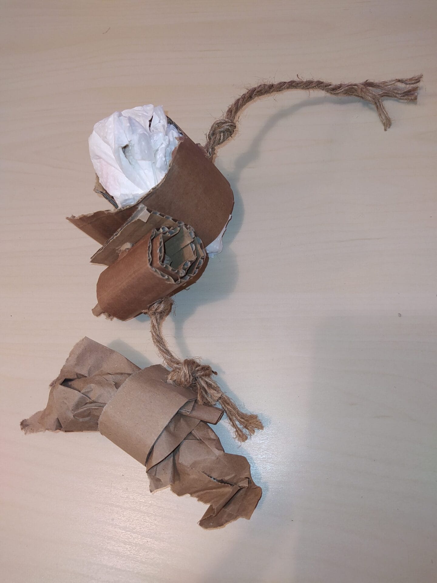 Enrichissement pour octodon