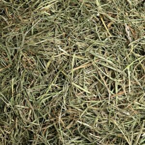 Foin de qualité pour <em srcset=