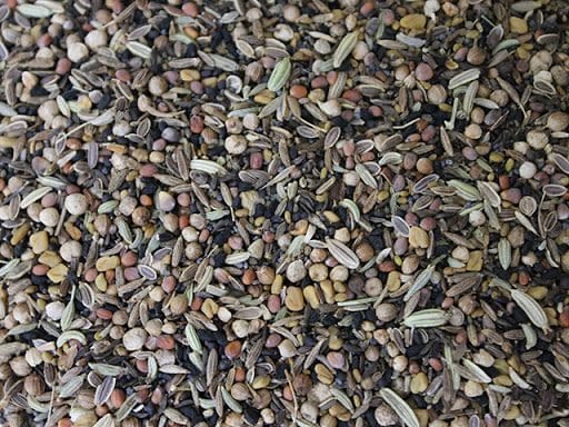 SAB Degu Mix, mélange alimentaire adapté pour Octodon degus