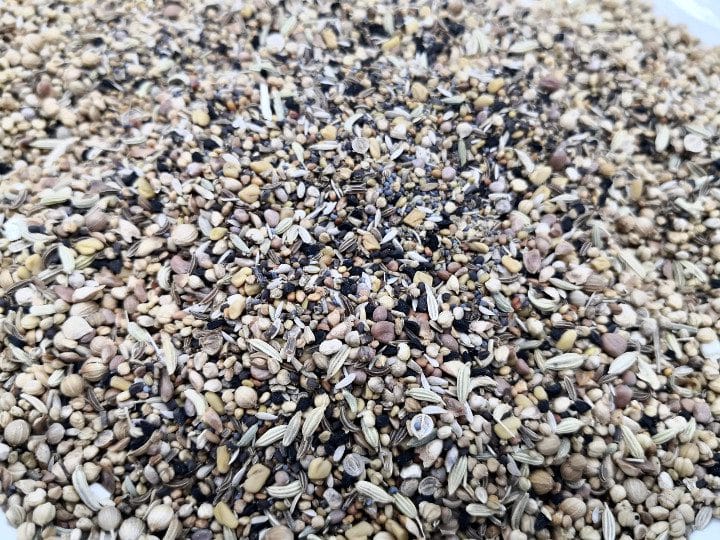 Mélange de graines SAB degu mix, adapté aux octodons.