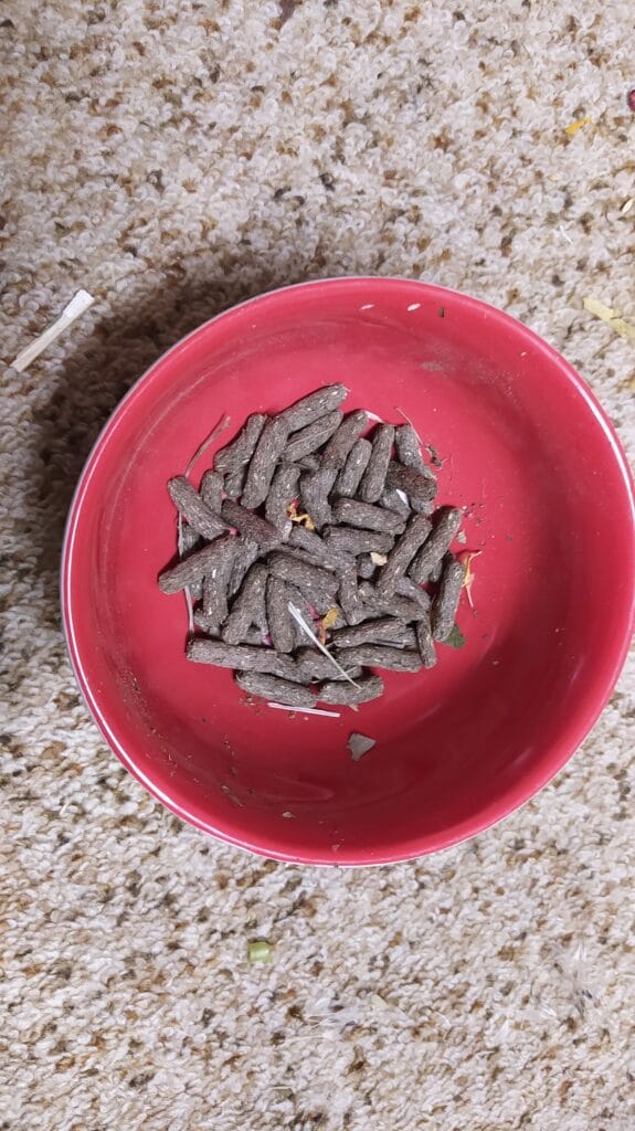 Volumétrie pour 20g (une ration) de granulés pour octodon (Versele-laga complete Chinchilla & Degu)